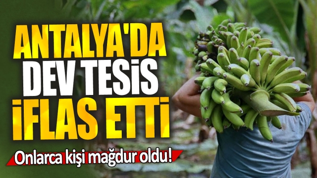 Antalya'da Tesis İflas Etti; 45 Üretici Mağdur Oldu