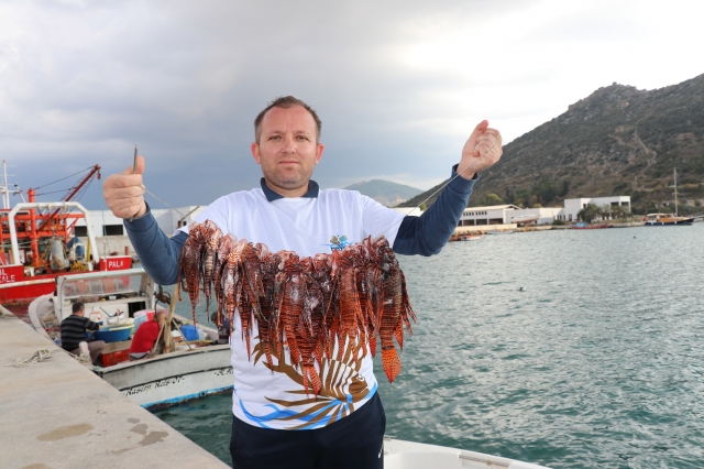 Antalya'da zıpkıncılar, işgalci ve zehirli 'Aslan Balığı' için daldı 