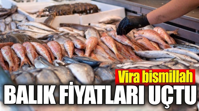 Balık Fiyatları Uçtu: Yeni Sezonun Başlangıcıyla Palamut Bolluğu