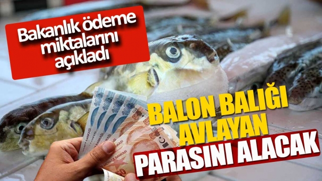 Balon Balığı Avına Destek Ödemelerini Açıkladı