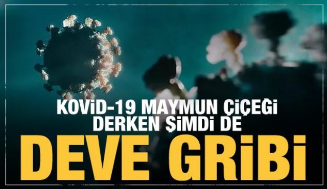 Bu da yeni çıktı:  Bakan'dan ‘deve gribi’ açıklaması