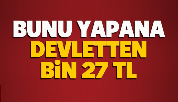 BUNU YAPANA DEVLETTEN MAAŞ