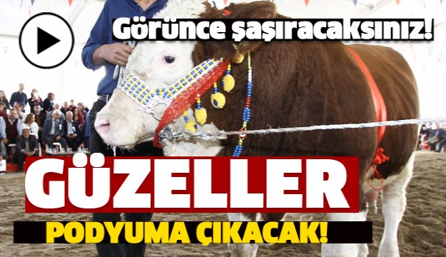 Burdur güzelleri podyuma çıkacak