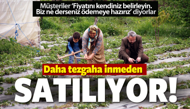 Daha raflara gelmeden satılıyor!