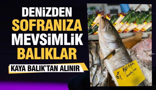 Denizden sofranıza en taze balık ürünleri Kaya Balık'ta!