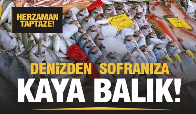 DENİZDEN YENİ GELEN ÜRÜNLER KAYA BALIK REYONLARINDA