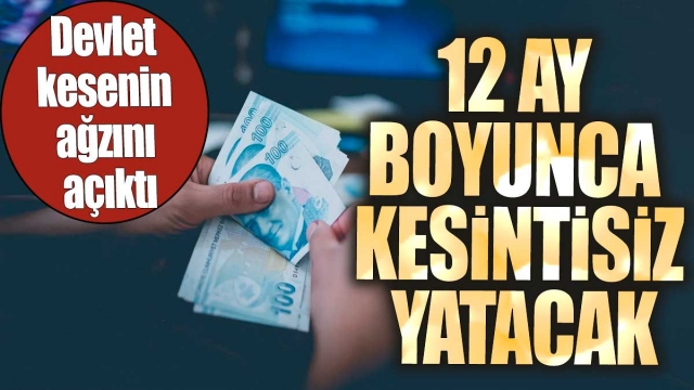  Devlet Destekli Yardımlar 12 Ay Boyunca Kesintisiz Devam Edecek