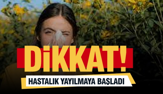 Dikkat' Hastalık Isparta'da Yayılmaya Başladı!