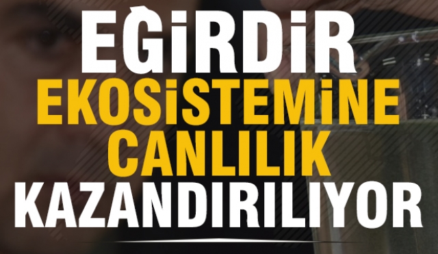 Eğirdir Ekosistemine Canlılık Kazandırılıyor!