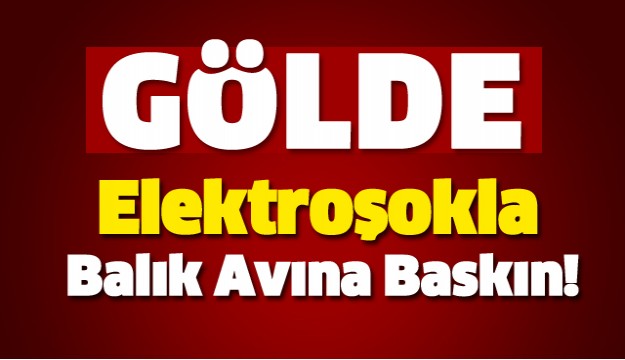 Elektroşokla Balık Avına Baskın