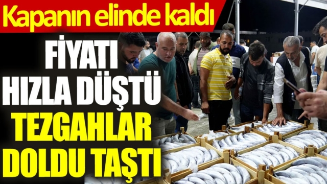 Fiyatı Hızla Düştü, Tezgahlar Doldu Taştı