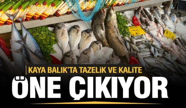  Haftanın 7 Günü Taze Balık Kaya Balık'ta