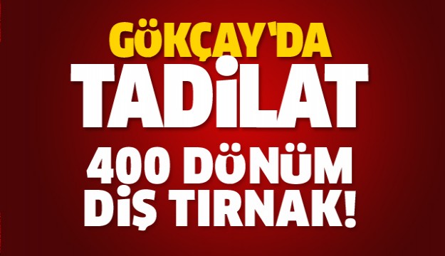 ISPARTA GÖKÇAY MESİRELİĞİ'NDE GENİŞ ÇAPLI TADİLAT YAPILACAK