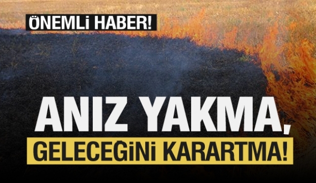 Isparta Haber: Anızını Yakma, Geleceğini Karartma