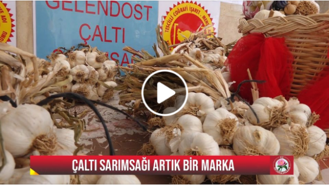 ISPARTA HABER: ÇALTI SARIMSAĞI ARTIK BİR MARKA