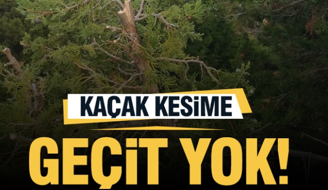 Isparta OBM Kaçak Kesime Geçit Vermiyor