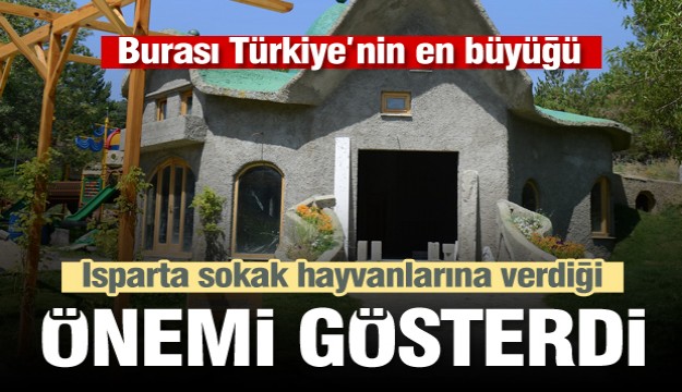 Isparta sokak hayvanlarına verdiği önemi gösterdi