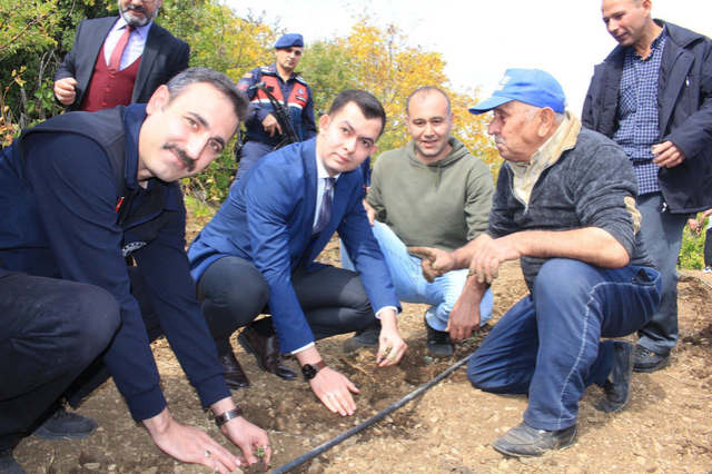 Isparta Sütçüler Kekiği dikim etkinliği