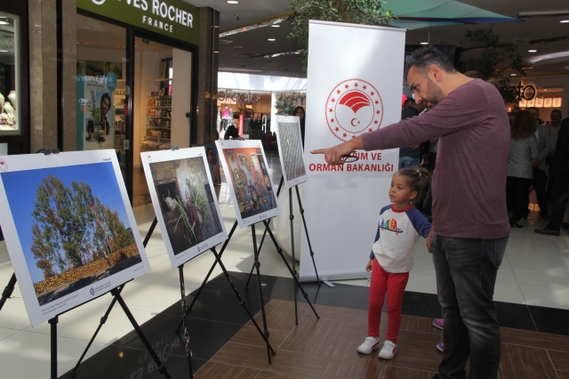 Isparta: "Tarım Orman ve İnsan Fotoğraf Yarışması"