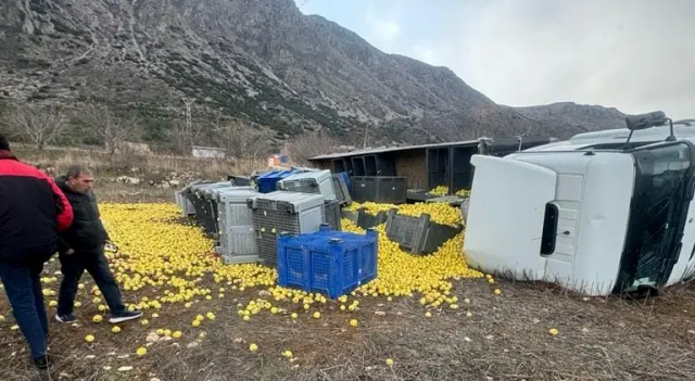 Isparta'da Elma Yüklü Kamyon Şarampole Devrildi