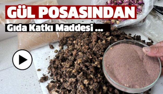 Isparta'da Gül Çiçeği Posası Gıda Katkı Maddesine Dönüşüyor...
