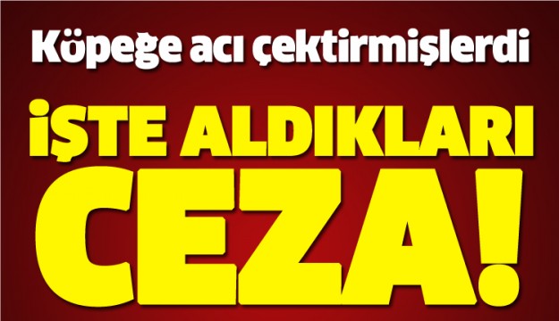 ISPARTA'DA KÖPEĞE  ACI ÇEKTİREN  ŞAHISLAR CEZALANDIRILDI