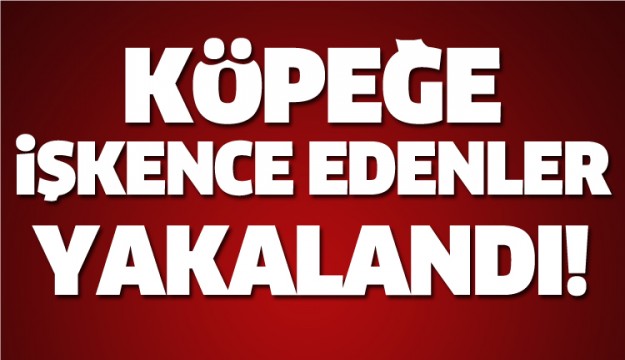 ISPARTA'DA KÖPEĞE İŞKENCE EDENLER YAKALANDI