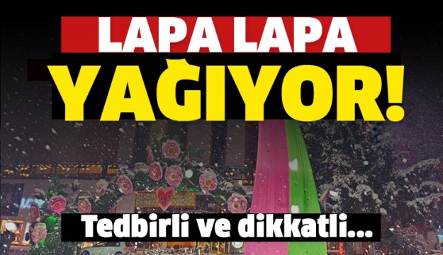 ISPARTA'DA LAPA LAPA KAR YAĞIŞI ETKİLİ OLDU