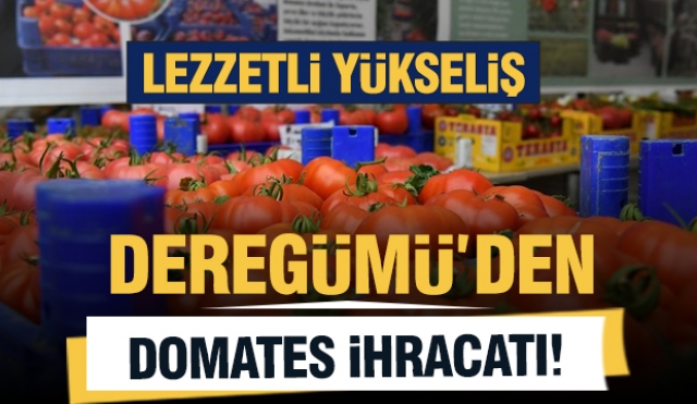 Isparta'da Lezzet Patlaması: Domates İhracatı