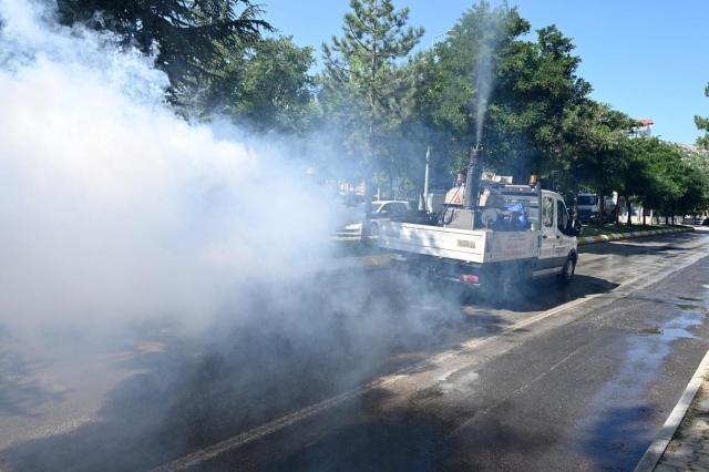 Isparta'da Mahallelerde Genel Temizlik ve Uçkunla Mücadele Çalışmaları