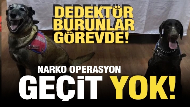 Isparta'da narkotik operasyon! dedektör burunlar görevde!