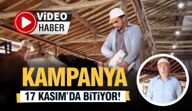 Isparta'da Şap Hastalığı Aşılama Kampanyası