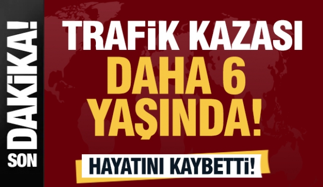 Isparta'da Trafik Kazası: Hayatını Kaybetti