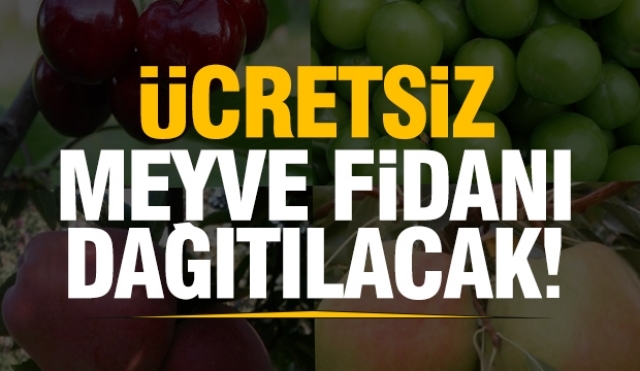 Isparta'da ücretsiz 10.000
adet armut fidanını ücretsiz dağıtacak