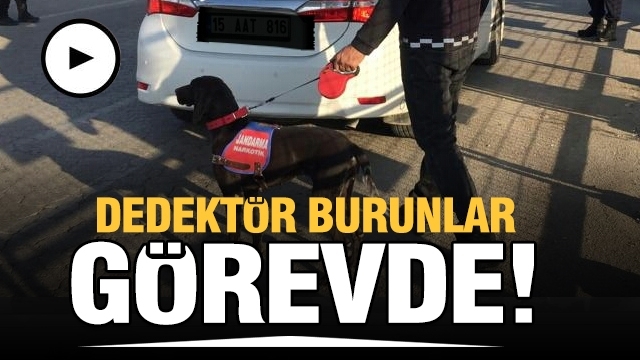 ISPARTA'DA UYUŞTURUCU OPERASYONU