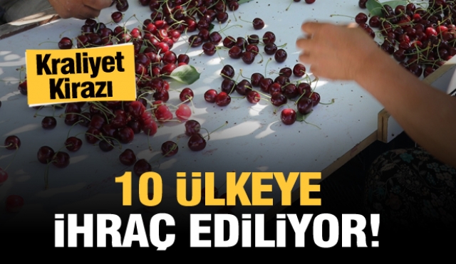 Isparta'nın "Kraliyet kirazı" 10 ülkeye ihraç ediliyor