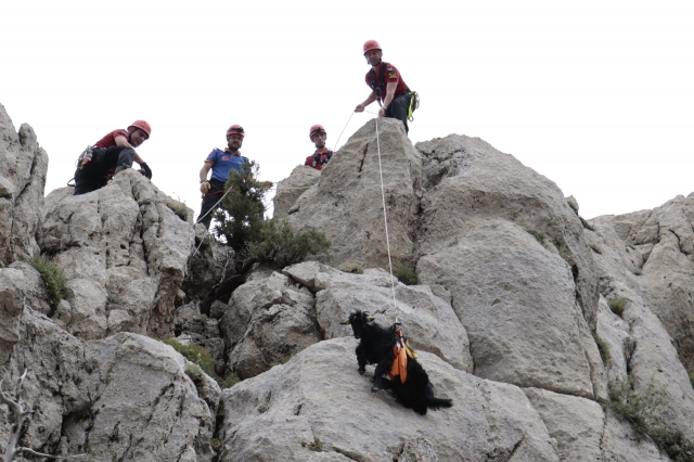 Jandarma ve AFAD İşbirliği ile Başarılı Kurtarma Operasyonu