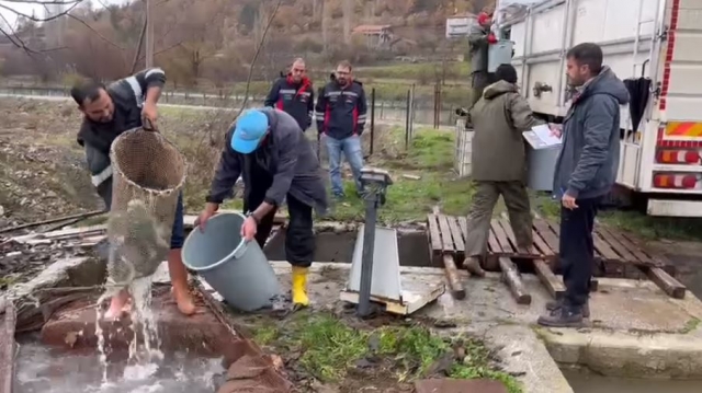 Karacaören Barajı'nda Somon Üretimi İçin Canlı Nakil Gerçekleştirdi!