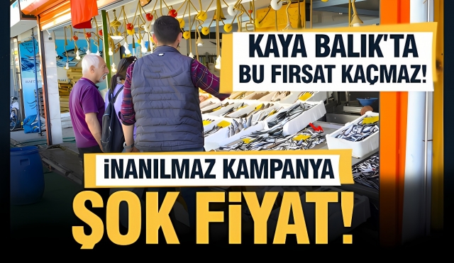 Kaya Balık Evi'nde Büyük Kampanya! Taze Balıkların Keyfini Çıkartın!