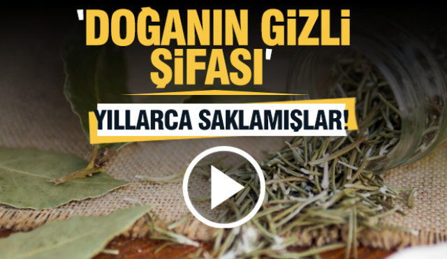 Kekiğin Mucizevi Gücü: Doğanın Gizli Şifası