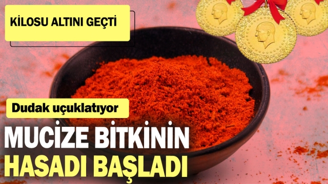 Kilosu Dudak Uçuklatıyor