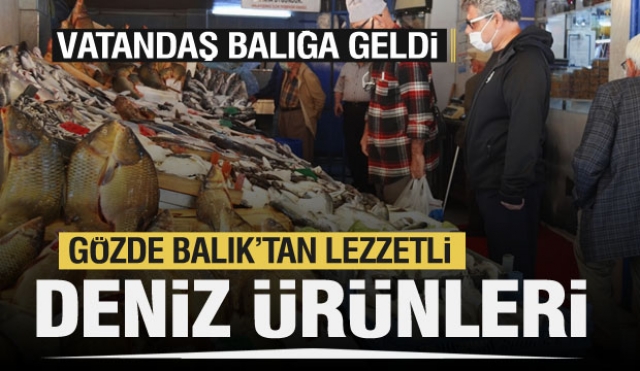 Mevsimin en lezzetli deniz ürünleri Gözde Balık'ta