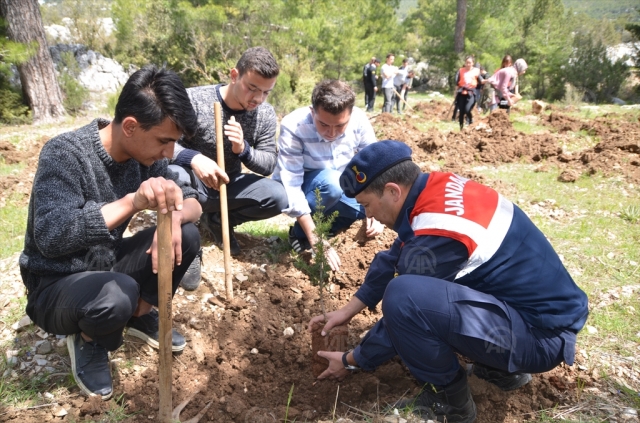 Şehit jandarma er için 800 fidan dikildi