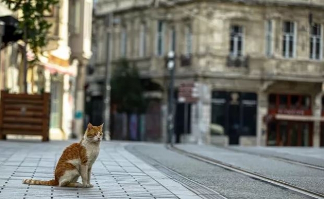 Sokağa çıkma kısıtlamasının detayları