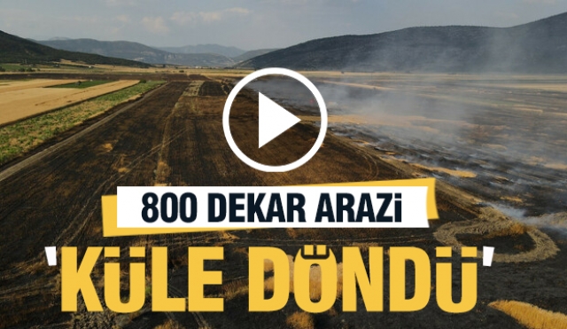 Tarım Arazisi Alevlere Teslim: 800 Dekar Küle Döndü