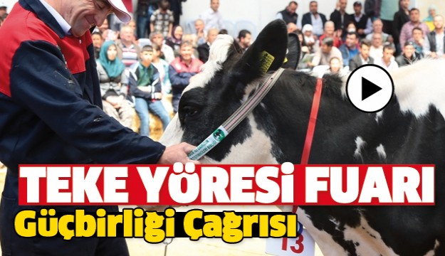 TEKE YÖRESİ FUARI