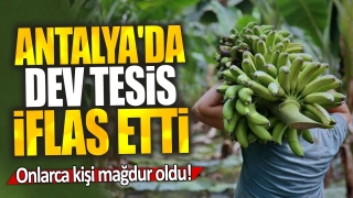 Antalya'da Tesis İflas Etti; 45 Üretici Mağdur Oldu