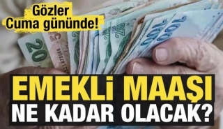 Emekli Maaşları İçin Beklenen Zam Oranları Açıklandı