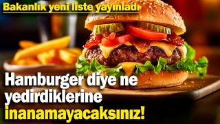 Hamburgerdeki şok gerçek: Bakanlık skandalı ifşa etti