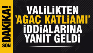 Isparta Valiliği'nden Açıklama: Ağaç Katliamı İddialarına Yanıt